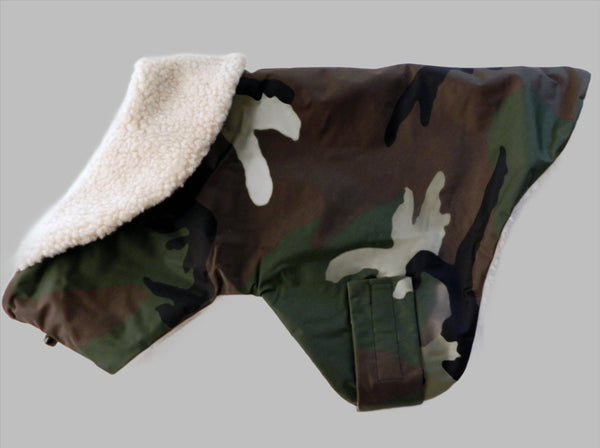 Rain Gear for Pugs: Waterproof Adventure Camo