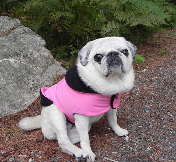 Winter Clothes for Pugs: X-treme Pink Ski Jacket