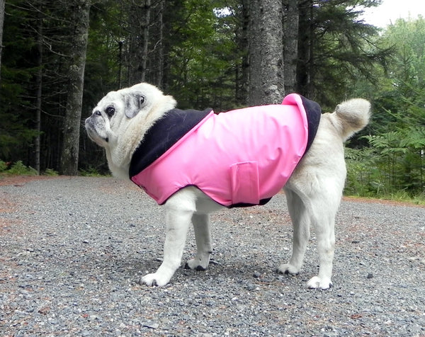 Winter Clothes for Pugs: X-treme Pink Ski Jacket