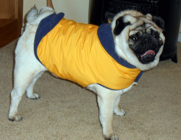 Insulated Winter Coat for Pugs: Snow Patrol