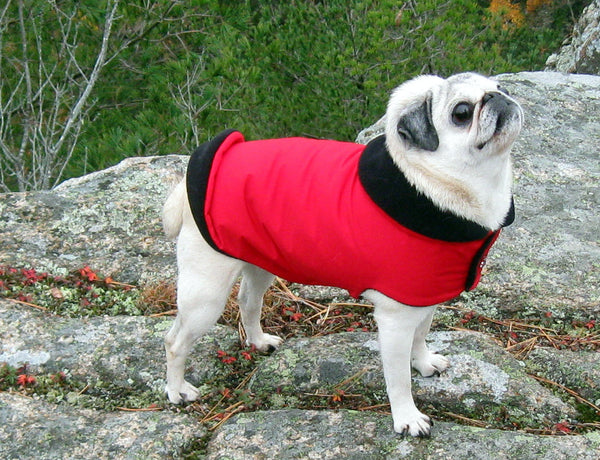 Winter Clothes for Pugs: X-Treme Red Ski Jacket