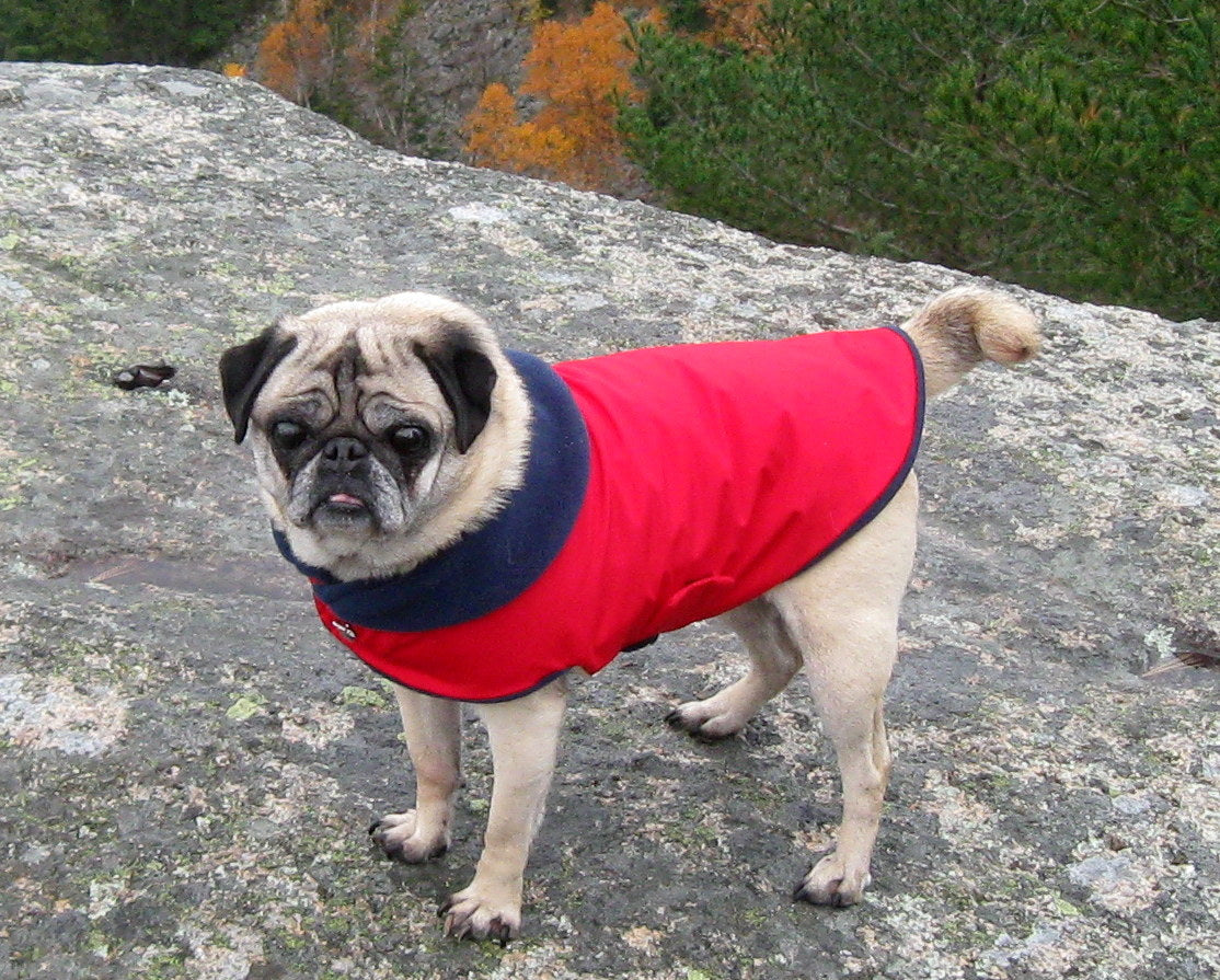 Custom Pug Jackets: Pug Winter Coat – Pug Snuggly by Yogi