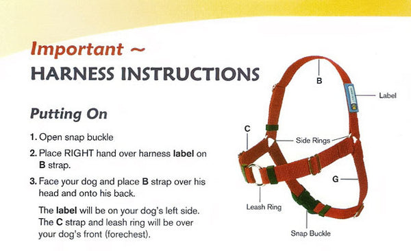 Front Leash Attachment Harnesses: SENSE-ible Harness