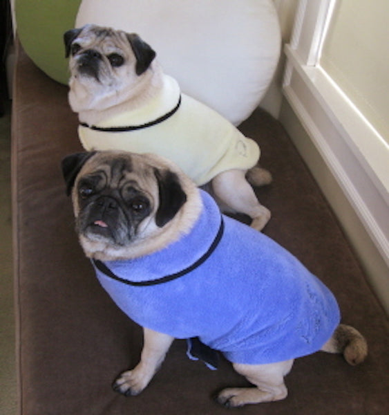 Pug Snuggly's Spa Collection